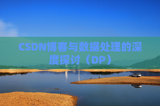 CSDN博客与数据处理的深度探讨（DP）